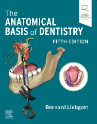 Anatomical basis of dentistry 5th edition 2023