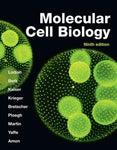 MOLECULAR CELL BIOLOGY